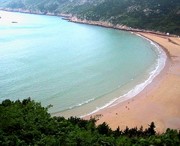 龙湾天气预报40天